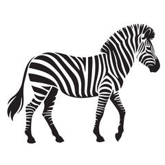  zebra Silhouette vector white back ground
