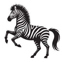  zebra Silhouette vector white back ground