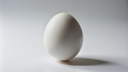 A Single Egg on a White Background, Photography, Minimalist, Egg, White, Still Life , egg