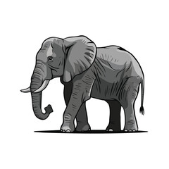 An elephant vector on a white background 1.eps