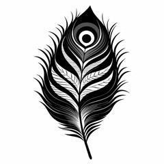 A beautiful peacock tail Vector illustration image & photo 