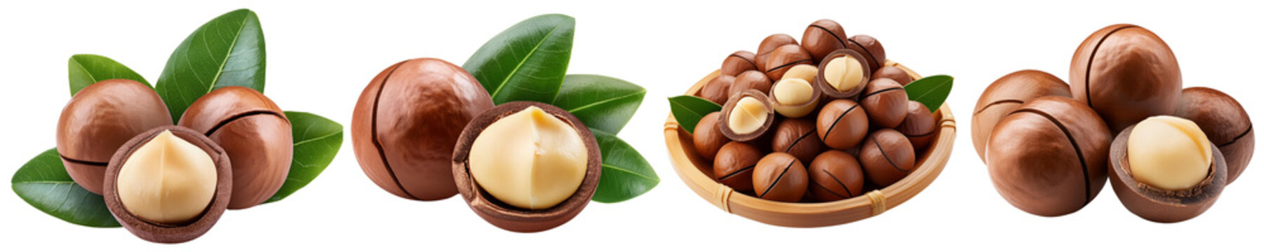 Set of Macadamia nuts in various arrangements, including shelled, unshelled, and in a bowl with green leaves, symbolizing natural ingredients and healthy snacks , cut out isolated transparent PNG