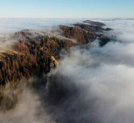 Mesmerizing aerial view of forested ridge shrouded in sea of clouds, with trees just peeking through mist. Landscape extends into distance, showcasing serene and ethereal beauty of nature.