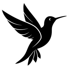 Obraz premium Black hummingbird vector silhouette 