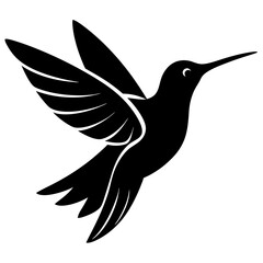 Obraz premium Black hummingbird vector silhouette 