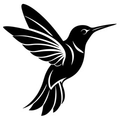 Fototapeta premium Black hummingbird vector silhouette 