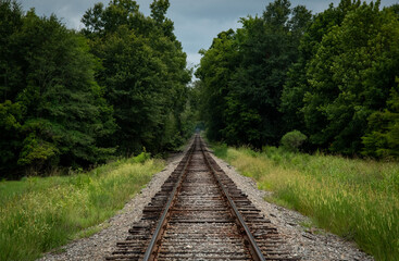Fototapeta premium Train tracks into the trees