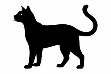 Cat black silhouette white background