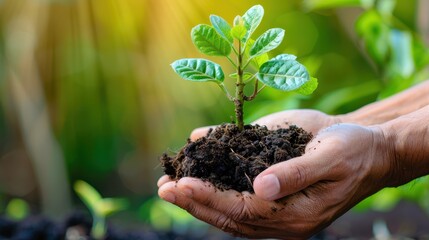 A hand gently cradles a young green plant emerging from rich soil, symbolizing growth, nature, and environmental care.