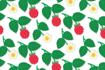 Red raspberry pattern. Ripe raspberry, raspberry halves and leaves on white background. Vector shabby hand drawn illustration.
