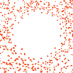 Red rose petals decoration circle frame isolated on white background 