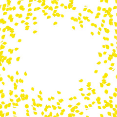 Yellow rose petals circle frame isolated on white background 
