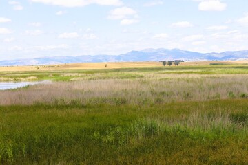 landscape with river and sky
