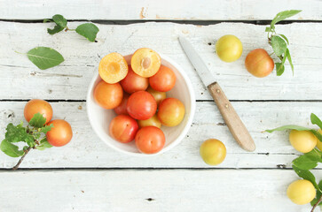 Wildpflaumen Mirabellen Kirschpflaumen Wildobst Wild Obst Wildfrüchte Frucht Früchte 