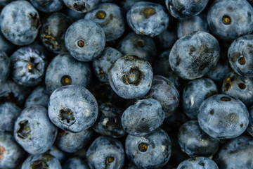 Background of the many blueberries. Healthy eating concept