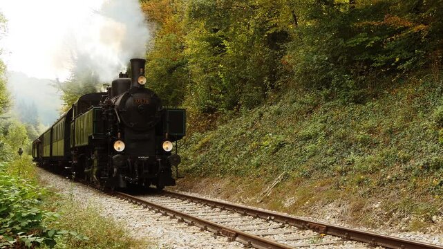 A vintage steam train travels through a forest, evoking nostalgia and adventure on a sunny day
