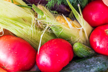 Close up shot of fresh vegetables and herbs. Lifestyle