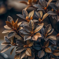 autumn leaves on a wooden table. Leaves close-up for background, cover, design of printed materials