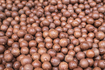Raw of Macadamia integrifolia on table.
