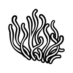 Underwater sea weed, laminaria spirulina seaweed sketch icon.
