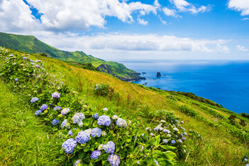 View of green lake in volcano caldera at Rasa e Funda and tropical mountains, Flores island,...