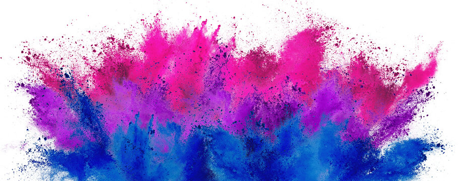colorful bisexual bi flag in pink purple blue color holi paint powder explosion isolated white background. LGBT and bisexuality pride symbol concept.