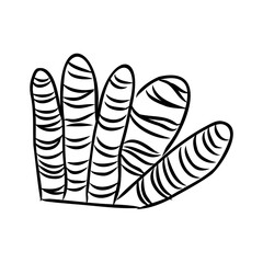 Underwater sea weed, laminaria spirulina seaweed sketch icon.