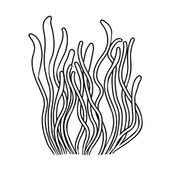 Underwater sea weed, laminaria spirulina seaweed sketch icon.