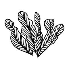 Underwater sea weed, laminaria spirulina seaweed sketch icon.