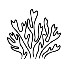 Underwater sea weed, laminaria spirulina seaweed sketch icon.