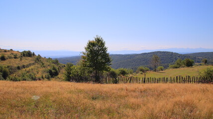 autumn in the mountains