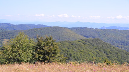 landscape with mountains