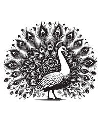 peafowl bird vector art,graphics peafowl birds icons set,vintage illustration peafowl bird clipart,vector peafowl birds flat style artwork design