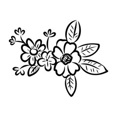 illustration of a flower sketch on white background