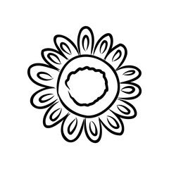 illustration of a flower sketch on white background