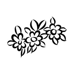 illustration of a flower sketch on white background