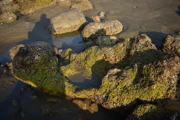 Rock in Beach