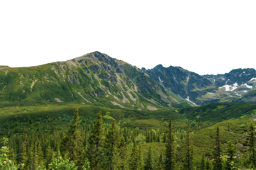 Beautiful mountain landscape in summer. Rocks, mountainous terrain. Isolated object. Tatra Mountains, Poland.
