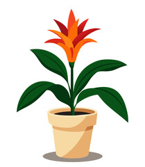 Guzmania flower. Indoor home plant in a pot. Cartoon style vector illustration.