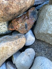 stones on the beach