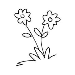 illustration of a flower sketch on white background