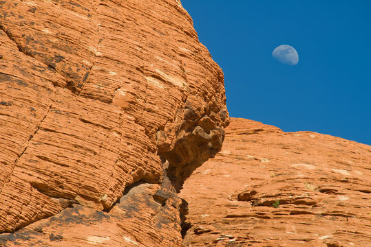 moonrise over Red Rock Canyon