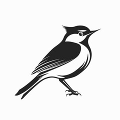 Obraz premium Black and White Bird Silhouette Illustration