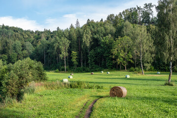 Fototapety na wymiar - Fototapeta24.pl