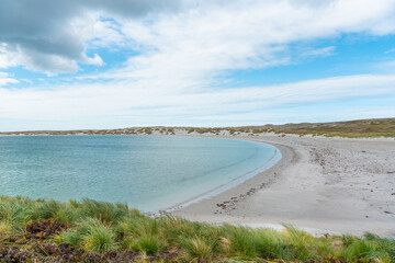 Gypsy Cove Falkland Islands Grass in Lower Frame Penguin Colony Summer Sunny Day White Sand Beach...