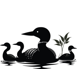  loon silhouette vector illustration on white back ground 