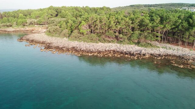Aerial Reveal of Pine Forest and the Adriatic Sea in Krk, Croatia