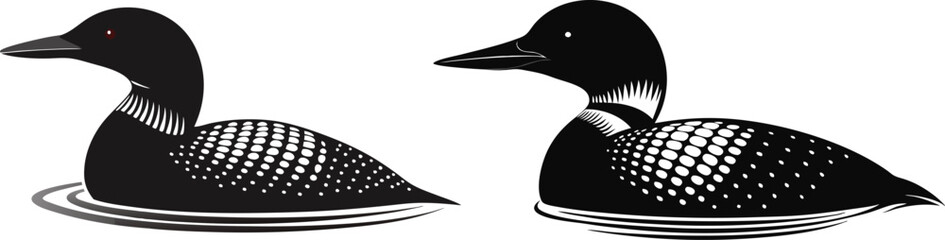  loon silhouette vector illustration on white back ground 
