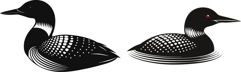 loon silhouette vector illustration on white back ground 