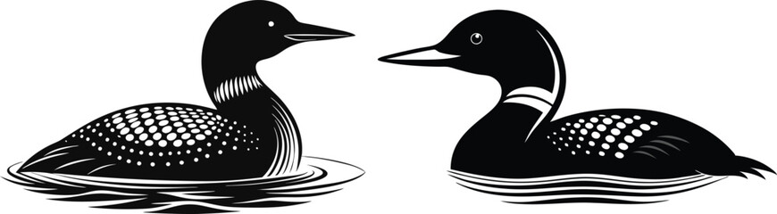  loon silhouette vector illustration on white back ground 